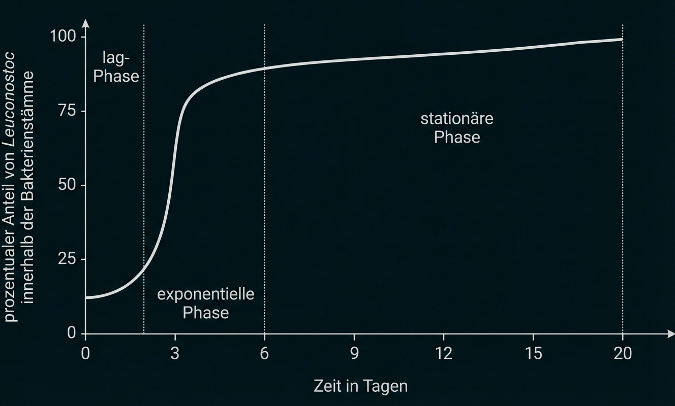 Diagramm: prozentualer Anteil von Leuconostoc über 20 Tage, zeigt Lag-, exponentielle und stationäre Phase.